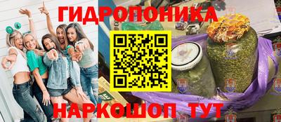 2c-b Камышлов