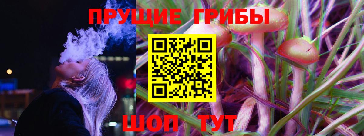 Псилоцибиновые грибы MAGIC MUSHROOMS Лесной