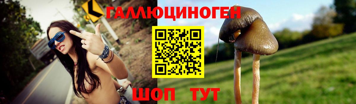 Лесной  Псилоцибиновые грибы Cubensis  Вход с VPN 